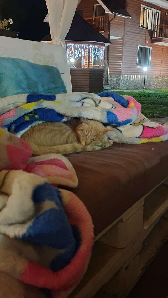 Гостиница Байкальский Рай Култук-19